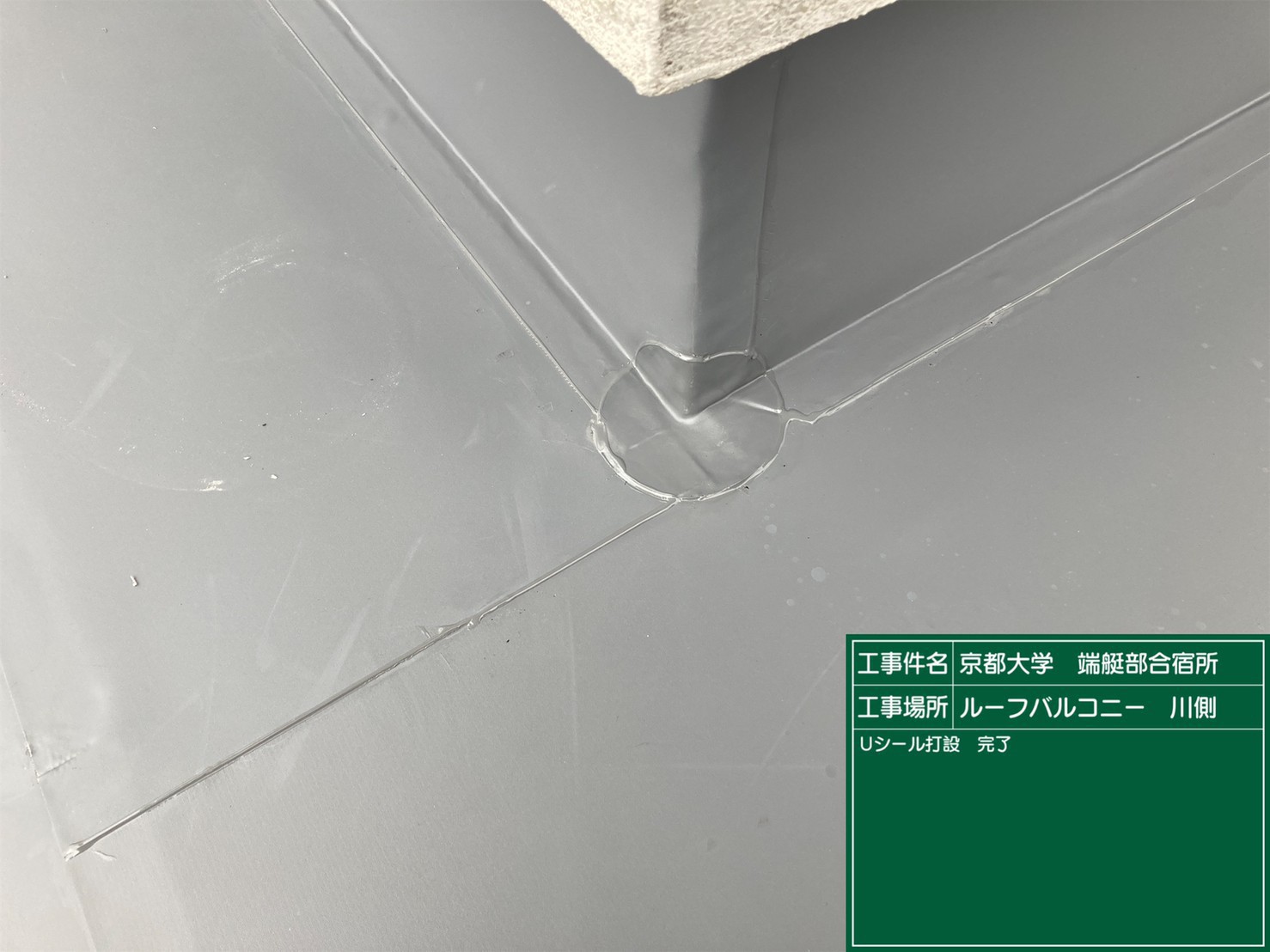 写真あり）屋上防水工事3/31完了、トイレ改修工事4/7完了予定 - 京都大学ボート部濃青会（仮）